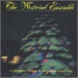 Christmas Tribute to Mannheim Steamroller (Music CD)