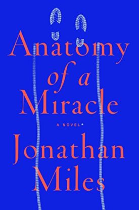 Anatomy of a Miracle: A Novel (Hardcover)