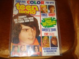 Teen World Donny & Marie Osmond, David Cassidy, Susan Dey, Maureen McCormick December 1974 (Collectible Single Back Issue Magazine)