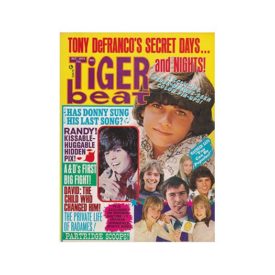 Tiger Beat  Donny, Randy, Tony - October 1973 (Collectible Single Back Issue Magazine)