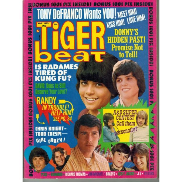 Tiger Beat  Donny, Randy, Tony - November 1973 (Collectible Single Back Issue Magazine)