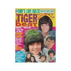 Tiger Beat  Donny, Randy, Tony - April 1974 (Collectible Single Back Issue Magazine)