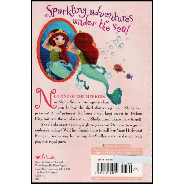 The Lost Princess (Mermaid Tales, Book 5)