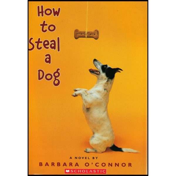 How to Steal a Dog (Paperback)