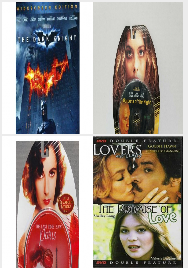 DVD Assorted Movies 4 Pack Fun Gift Bundle: The Dark Knight, Gardens of the  Night, The Last Time I Saw Paris, Lovers and Liars, The Promise 2 Movie  Collection - Nokomis Bookstore