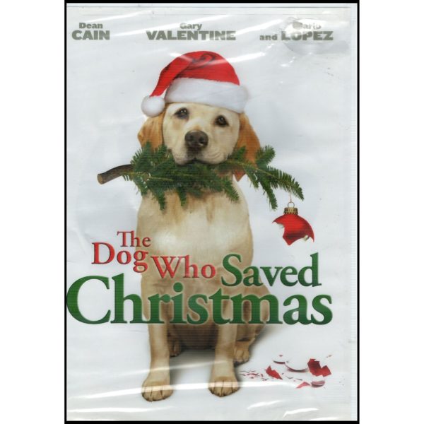 Christmas Holiday Movies DVD 4 Pack Assorted Bundle: A Holiday Homecoming - Family ids the Greatest Gift of All Time!  The Office: Secret Santa Pack  The Dog Who Saved Christmas  Sesame Streeet - Elmo Saves Christmas