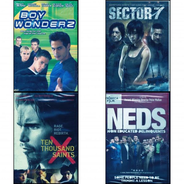 DVD Assorted Movies 4 Pack Fun Gift Bundle: Boy Wonderz  Sector 7   Ten Thousand Saints  Neds