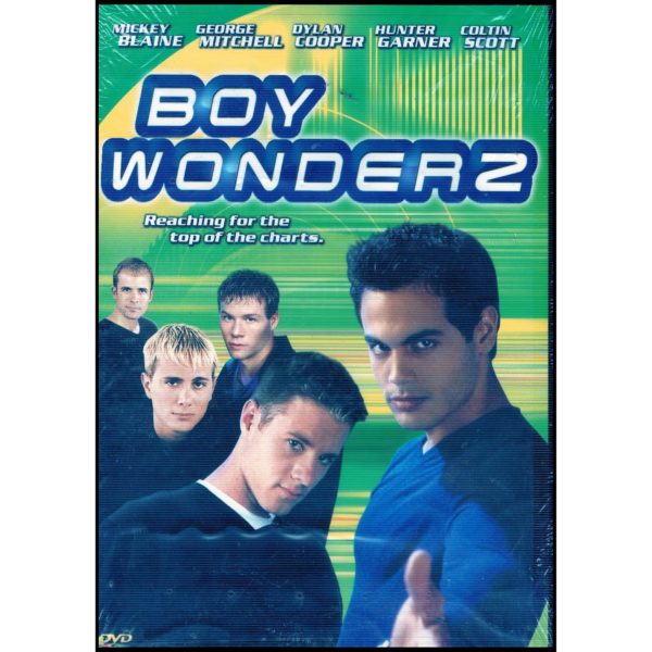 DVD Assorted Movies 4 Pack Fun Gift Bundle: Boy Wonderz  Sector 7   Ten Thousand Saints  Neds