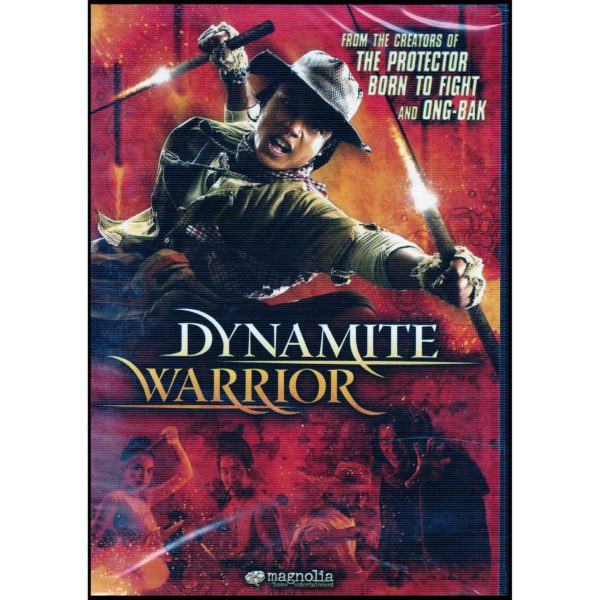 DVD Assorted Movies 4 Pack Fun Gift Bundle: August  Fantasy Quest   Dynamite Warrior  Everyday Black Man