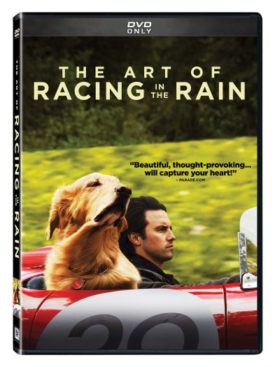 The Art of Racing in the Rain (DVD)