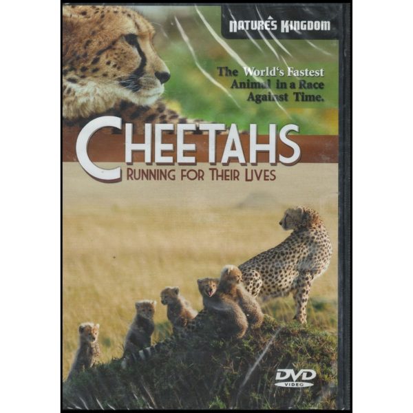 Cheetahs Running for their Lives (DVD)
