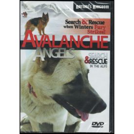 Avalanche Angels (DVD)