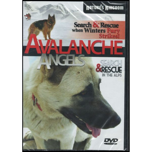 Avalanche Angels (DVD)