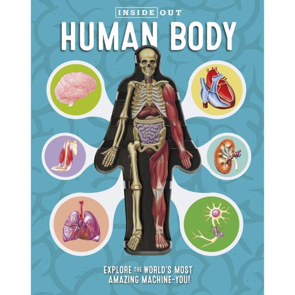 Inside Out Human Body (Hardcover) by Luann Columbo