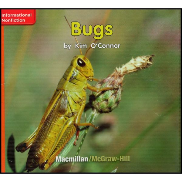 Bugs (Paperback)