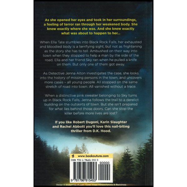 Where Angels Fear: Detectives Kane and Alton Book 5 (Paperback)