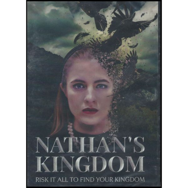 DVD Assorted Movies 4 Pack Fun Gift Bundle: A Perfect Plan  Haven  Nathan's Kingdom  Murder Bury Win