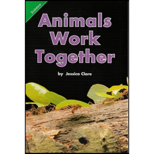 Scott Foresman Reading Street: Content Literacy Reader Grade 1 - Science: Animals Work Together (Paperback)