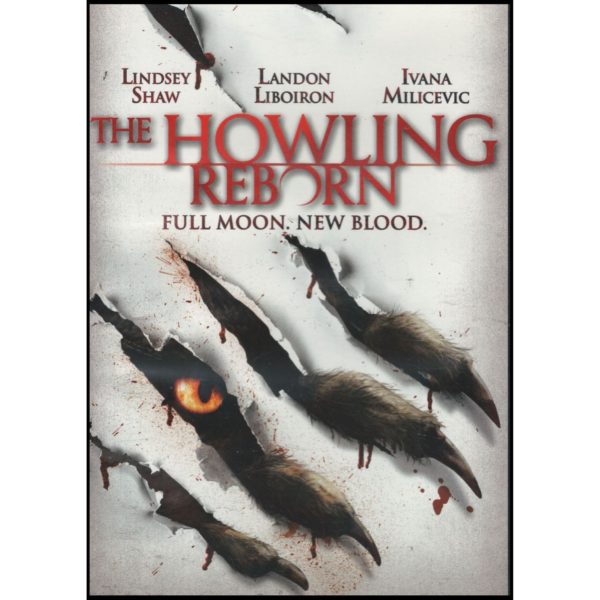DVD Horror Movies 4 Pack Fun Gift Bundle: Subterano  The Howling Reborn  Perfect Strangers  Possession
