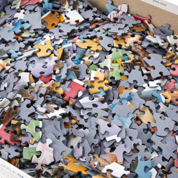 Eurographics "Yoga Cats" 1000 Piece Puzzle